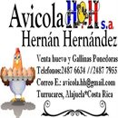 Avicola H.H.S.A.