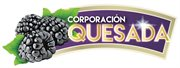 Corporacion Quesada SA